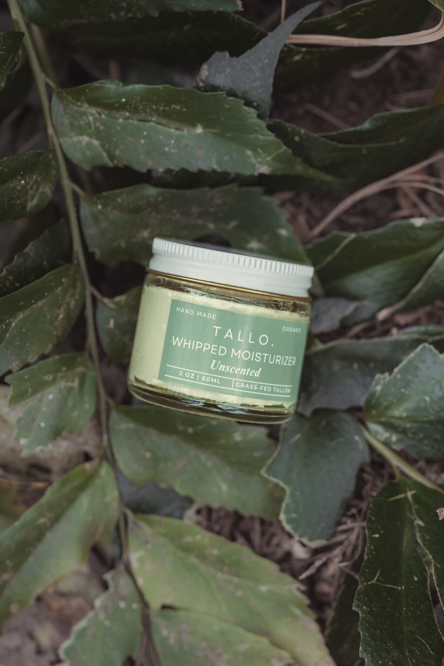 2 oz jar of Tallo Whipped Moisturizer Unscented with a green label and a white jar. The jar containing hydrating and non toxic skincare is being displayed in front of green leaves